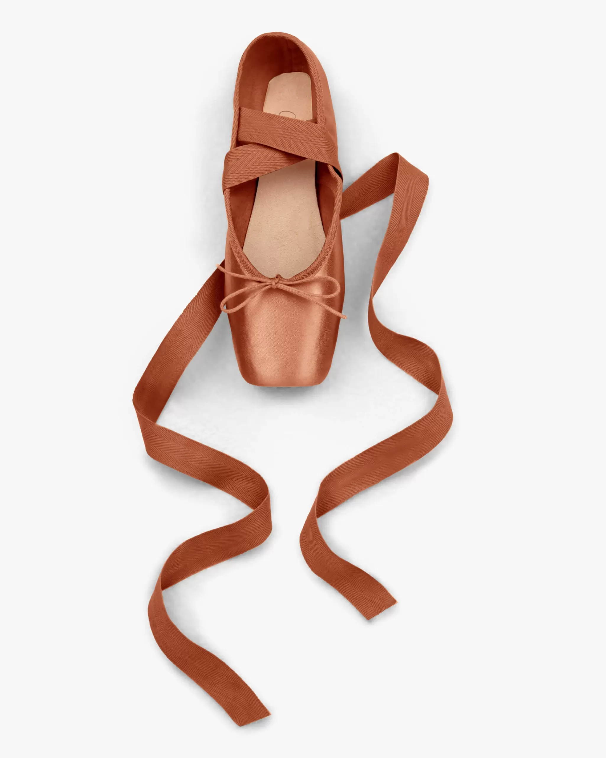 Outlet Repetto Pointes Alicia - Boîte Large Semelle Dure Marron glacé